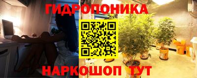 МДПВ Аша